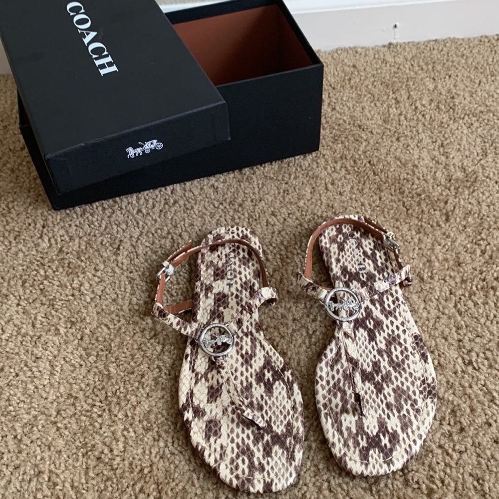 Coach - Picture 2 of 8